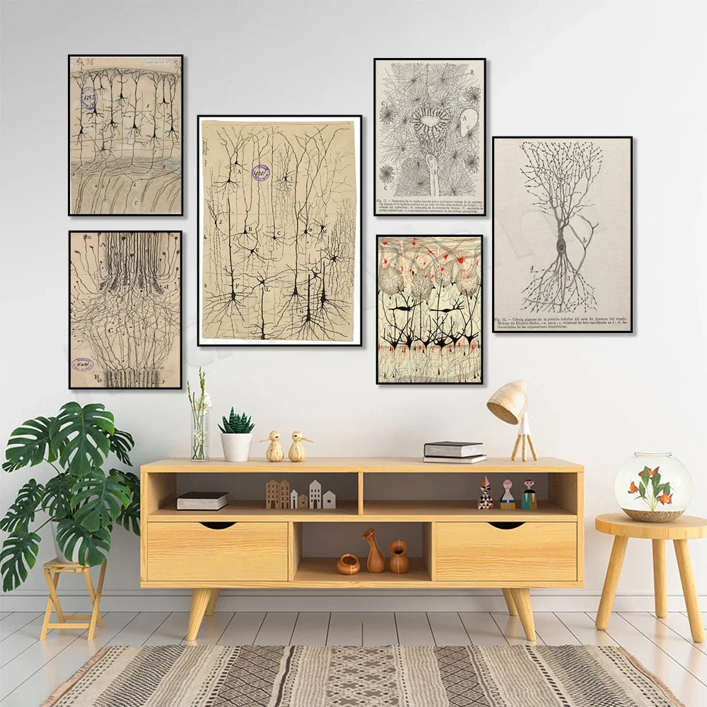 Neuron prints by Ramon Santiago, antique brain anatomy art, vintage anatomy illustration, neuroscience art, bioart, human art