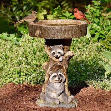 Garden Bird Bath Bowl,Raccoon Statue Figurine Outdoor Patio Lawn Resin Feeder Animal Sculpture for Park,Fence,Balcony,Outside