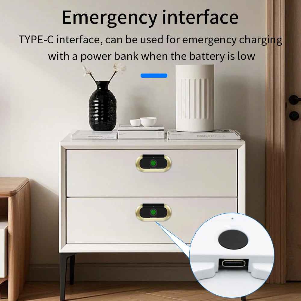 Electric Biometric Fingerprint Lock Keyless Cabinet Lock for Drawer Anti-theft Door Long Standby Time Furniture Hardware Locker