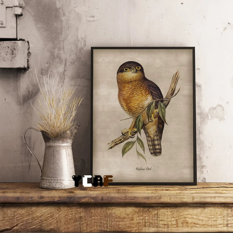 Vintage Owl Paintings Poster Canvas Printing Retro Fine Art Owls Wall Art Decor Home Room Owls Wall Decoration Art Prints Decor